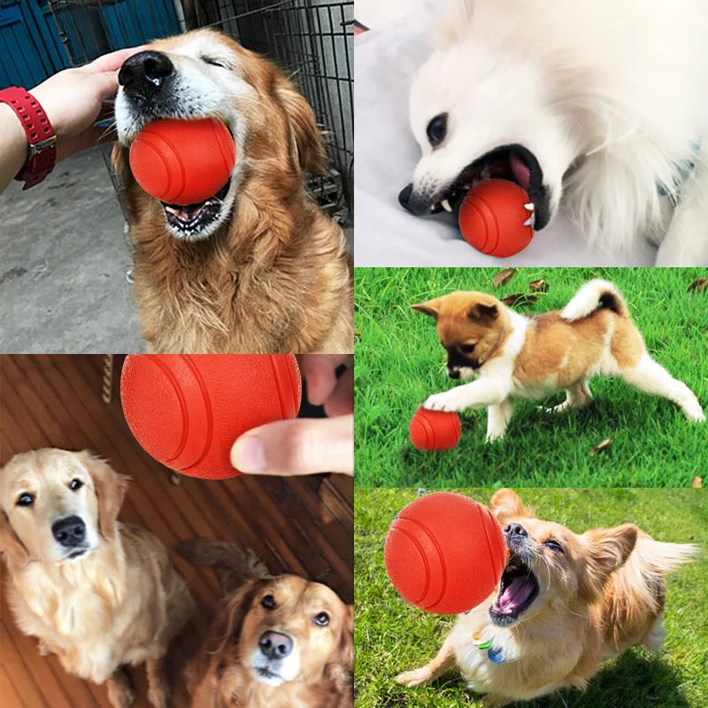 HOOPET Rubber Ball Toy for Dogs