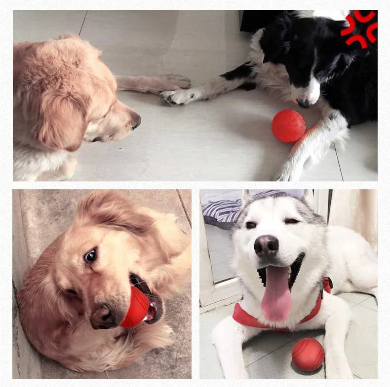HOOPET Rubber Ball Toy for Dogs