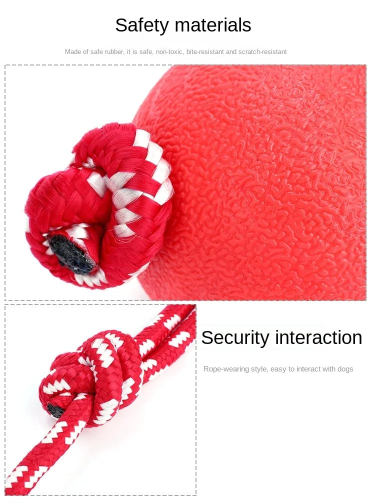 Dog Tug & Chew Toy