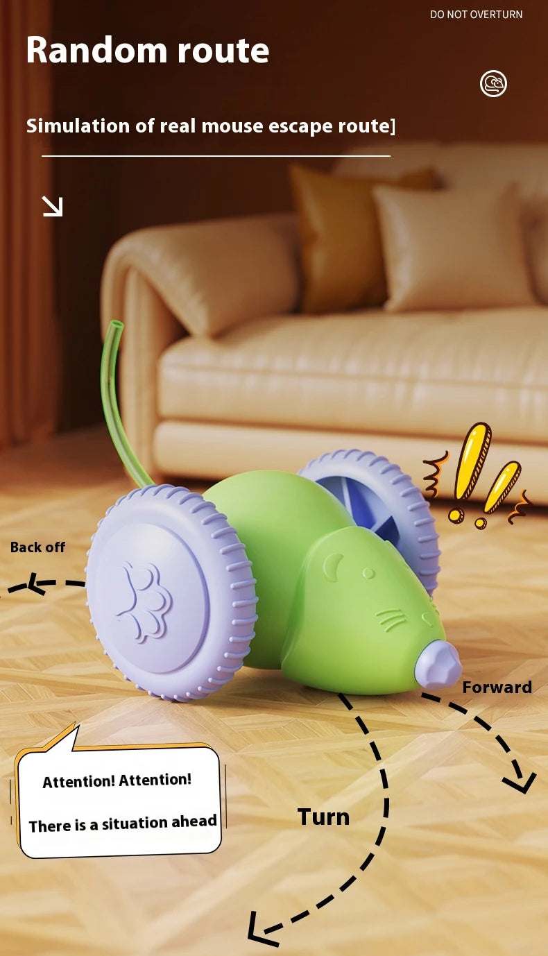 Electric Mouse Car Pet toys