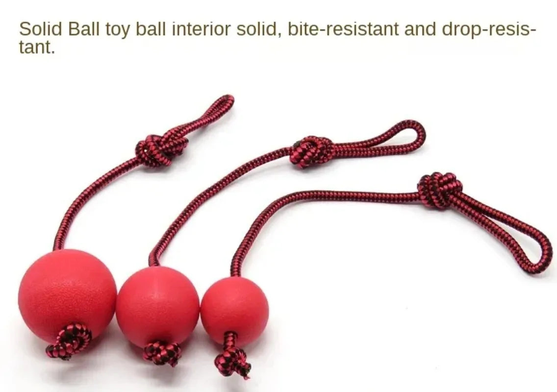 Dog Tug & Chew Toy