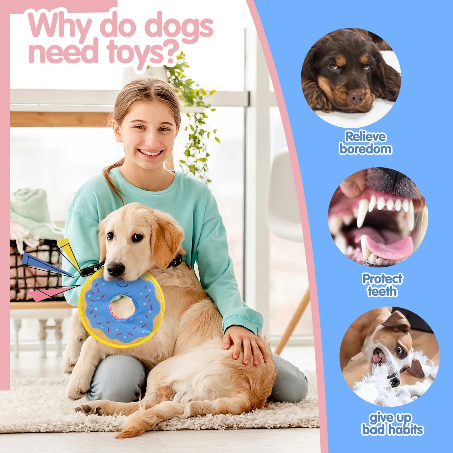 Dog Donut Toy