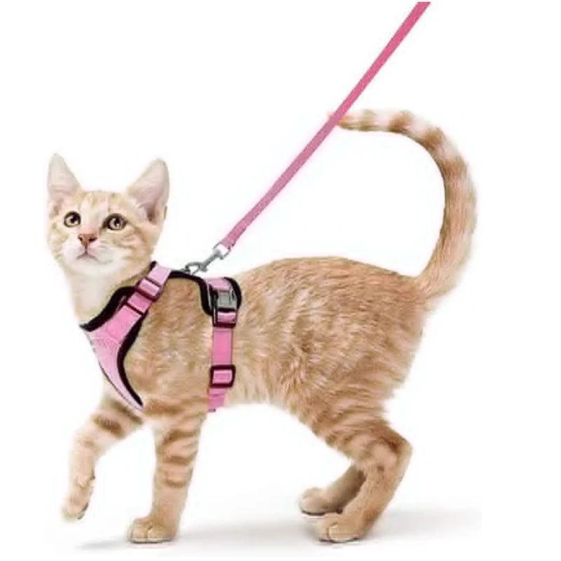 Escape Proof Cat Harness