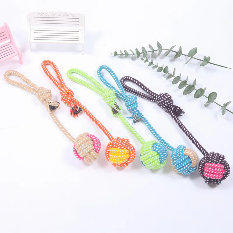 Interactive dog toys