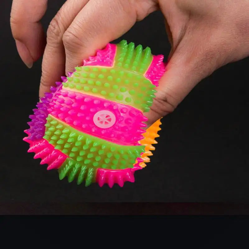 Glowing Ball Dog Toy