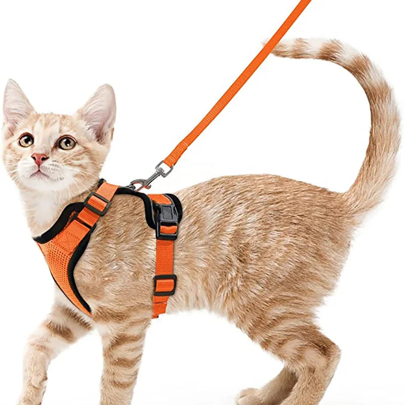 Escape Proof Cat Harness