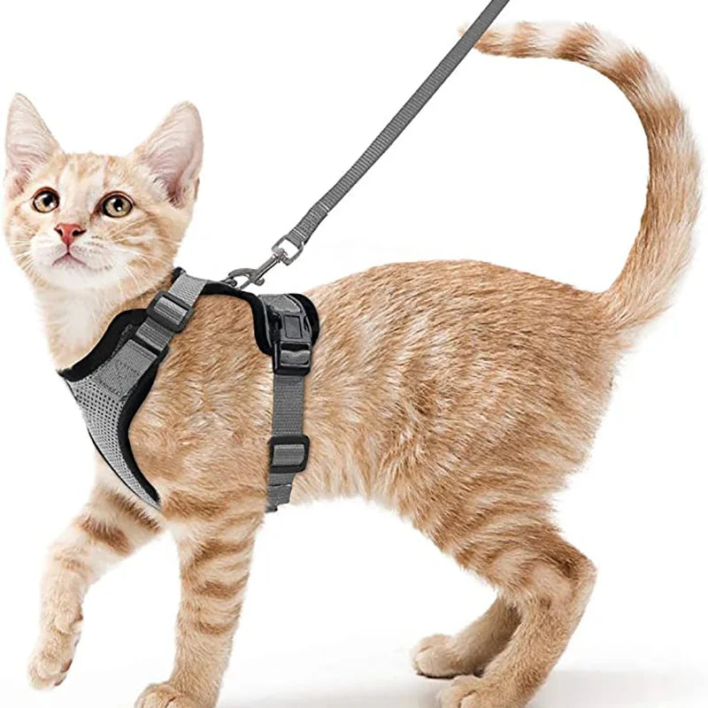 Escape Proof Cat Harness