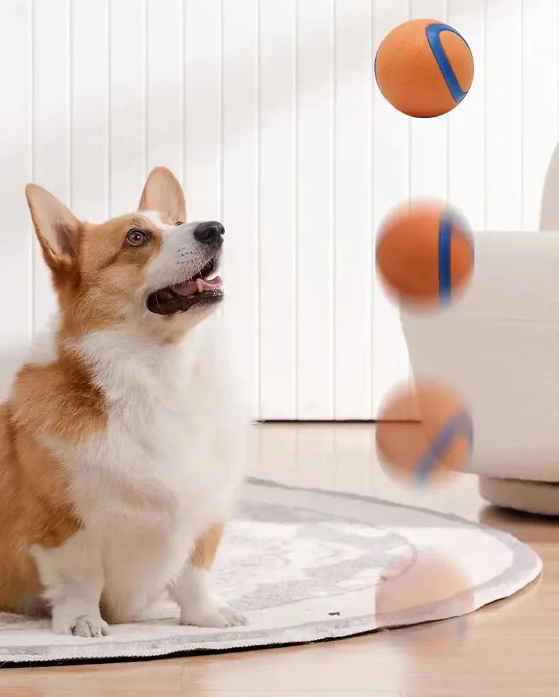 Toy Ball for Dogs