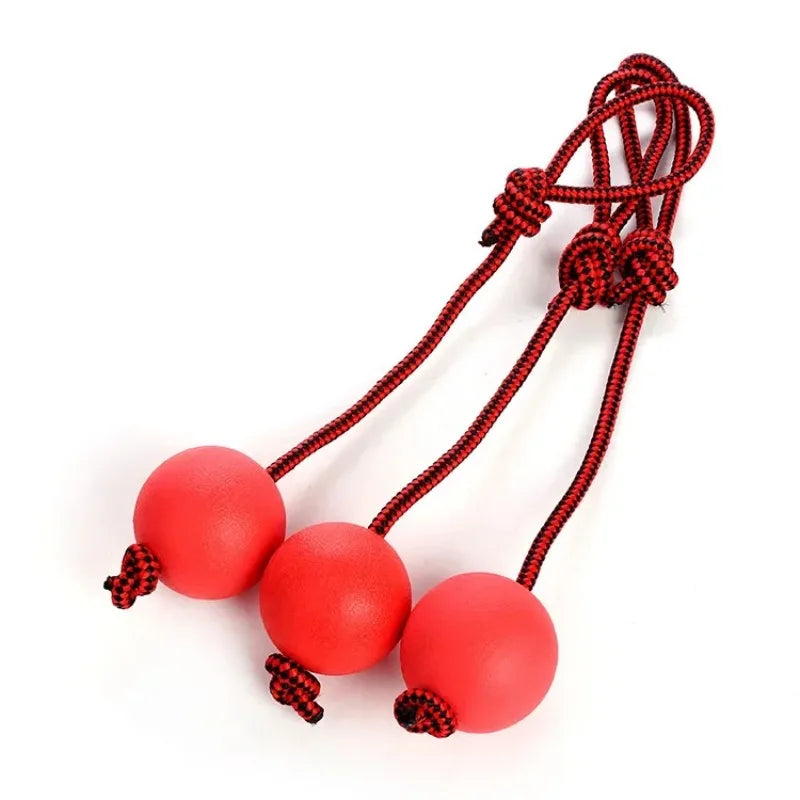 Dog Tug & Chew Toy