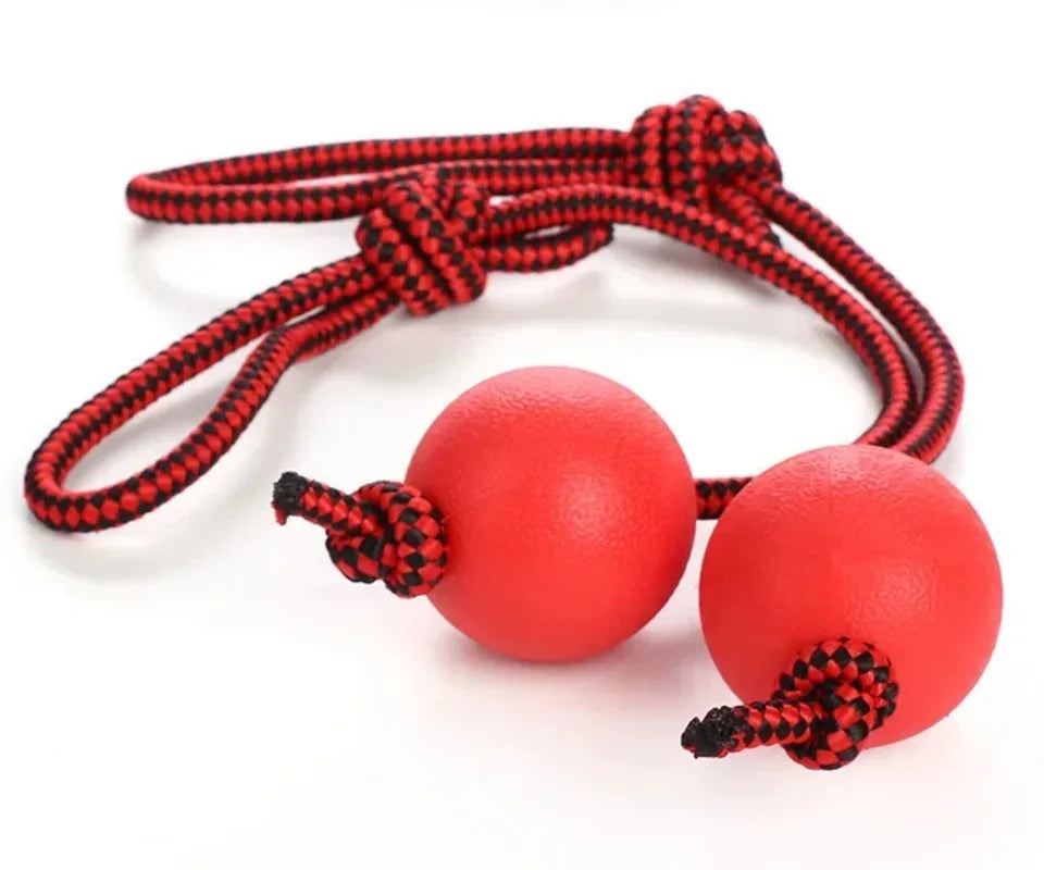 Dog Tug & Chew Toy