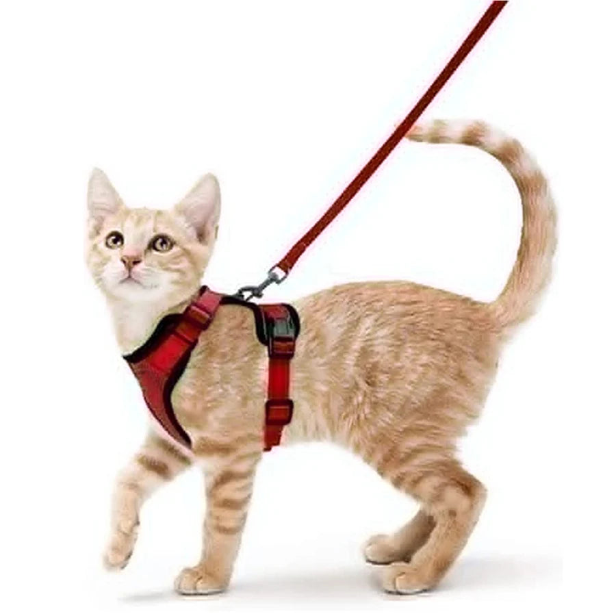 Escape Proof Cat Harness