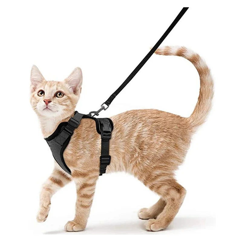 Escape Proof Cat Harness