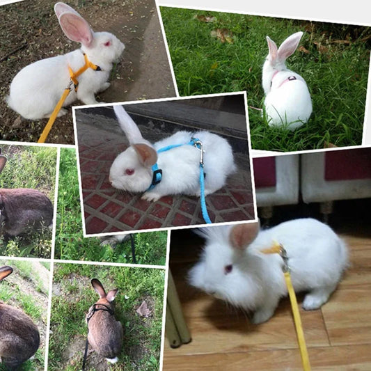 Pet Rabbit Soft Leash