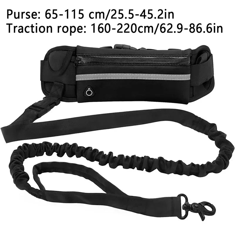Hands Free Dog Leash for Running and Walking