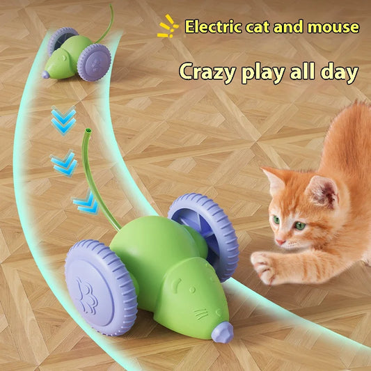 Electric Mouse Car Pet toys