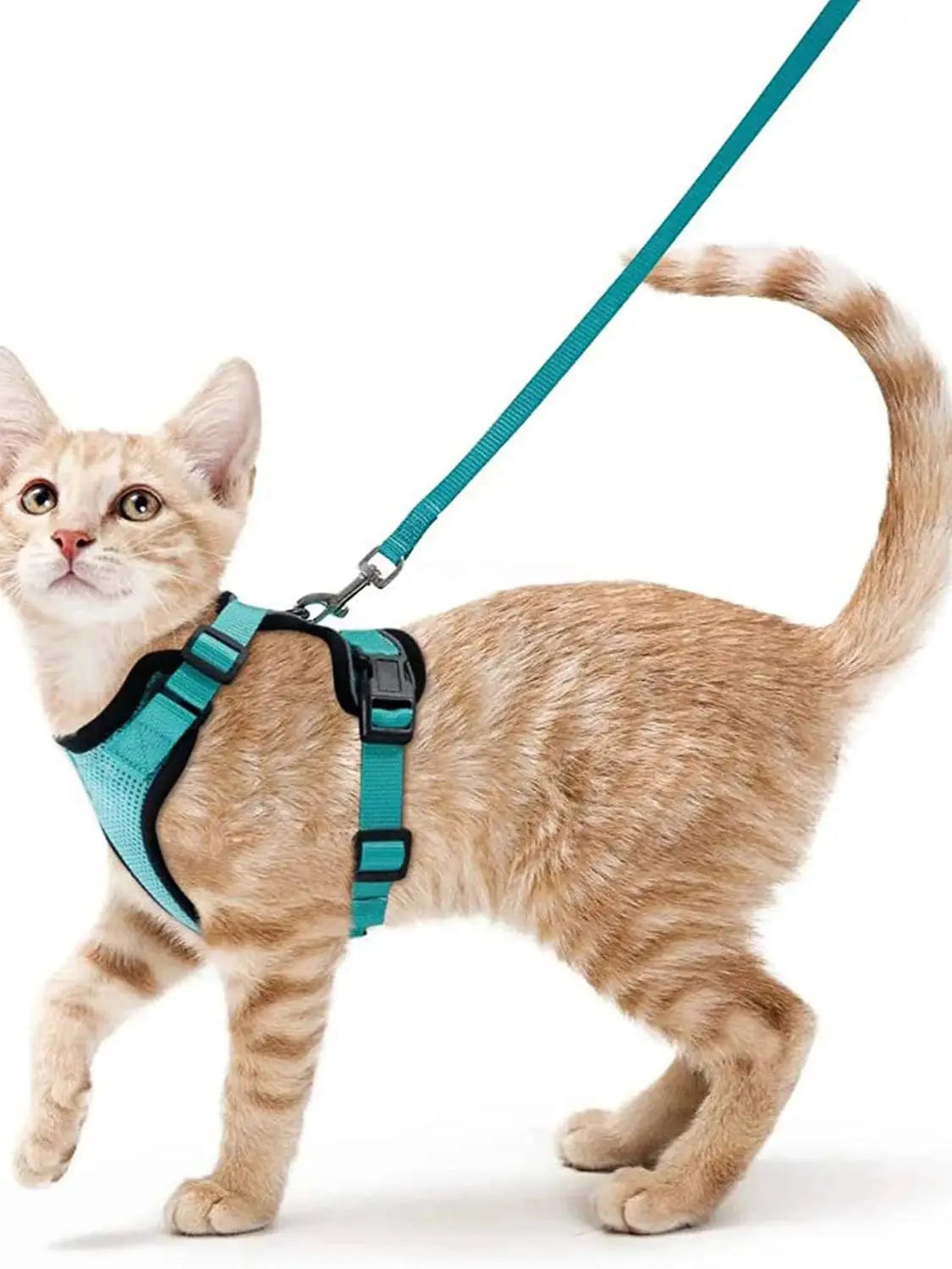 Escape Proof Cat Harness
