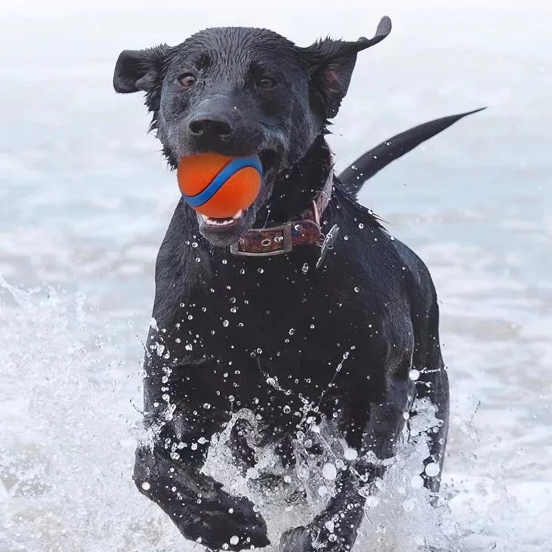 Toy Ball for Dogs