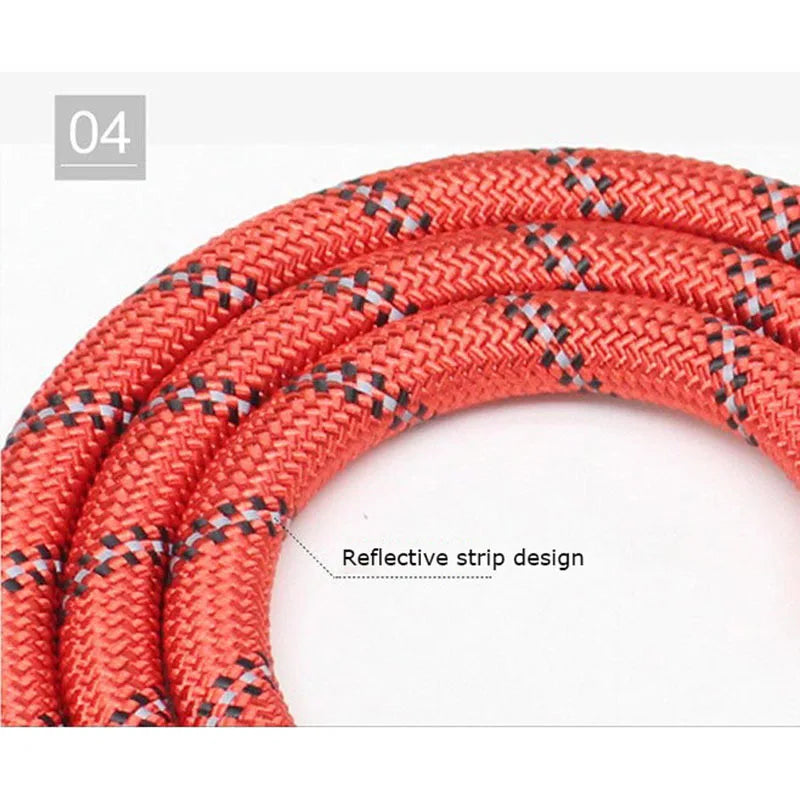 Pet Leash for Dogs