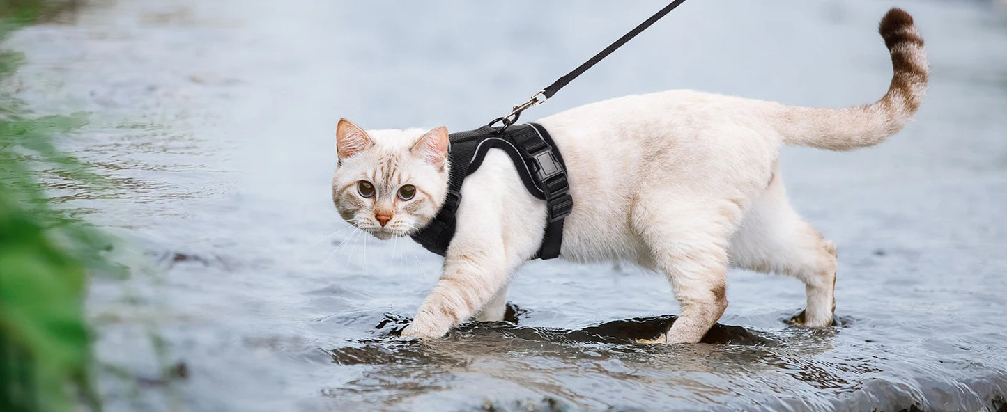 Escape Proof Cat Harness