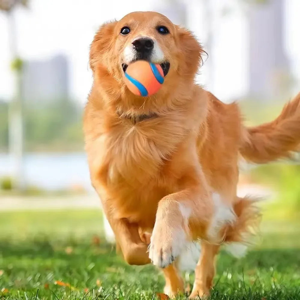 Toy Ball for Dogs