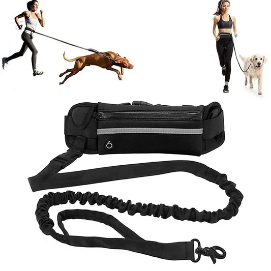 Hands Free Dog Leash for Running and Walking