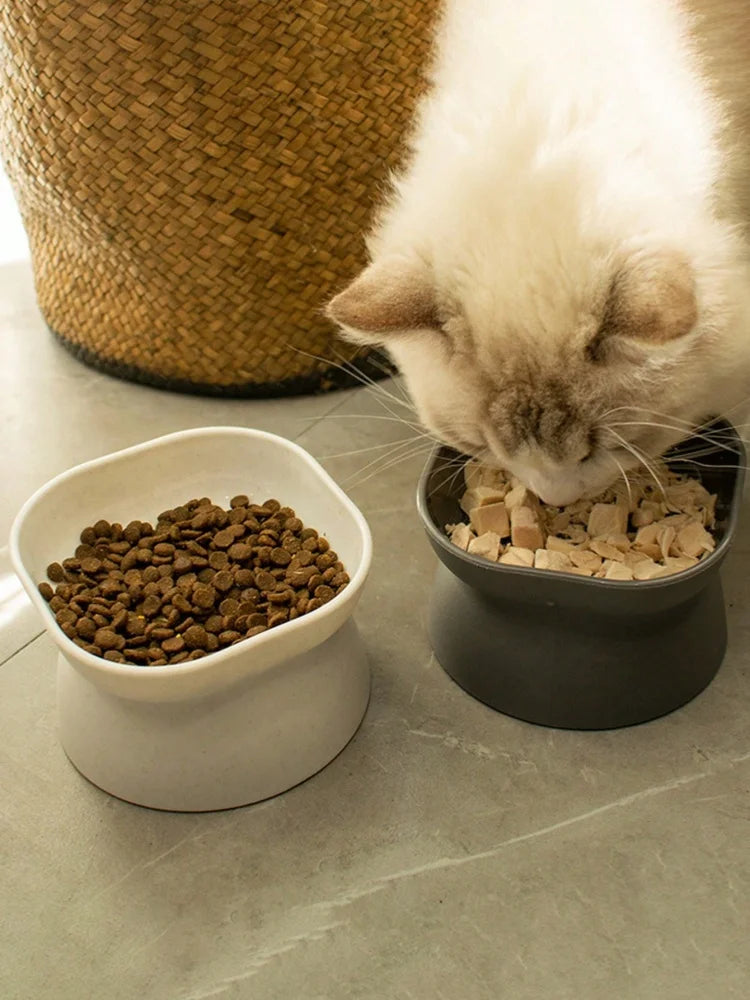 cat water and food feeder