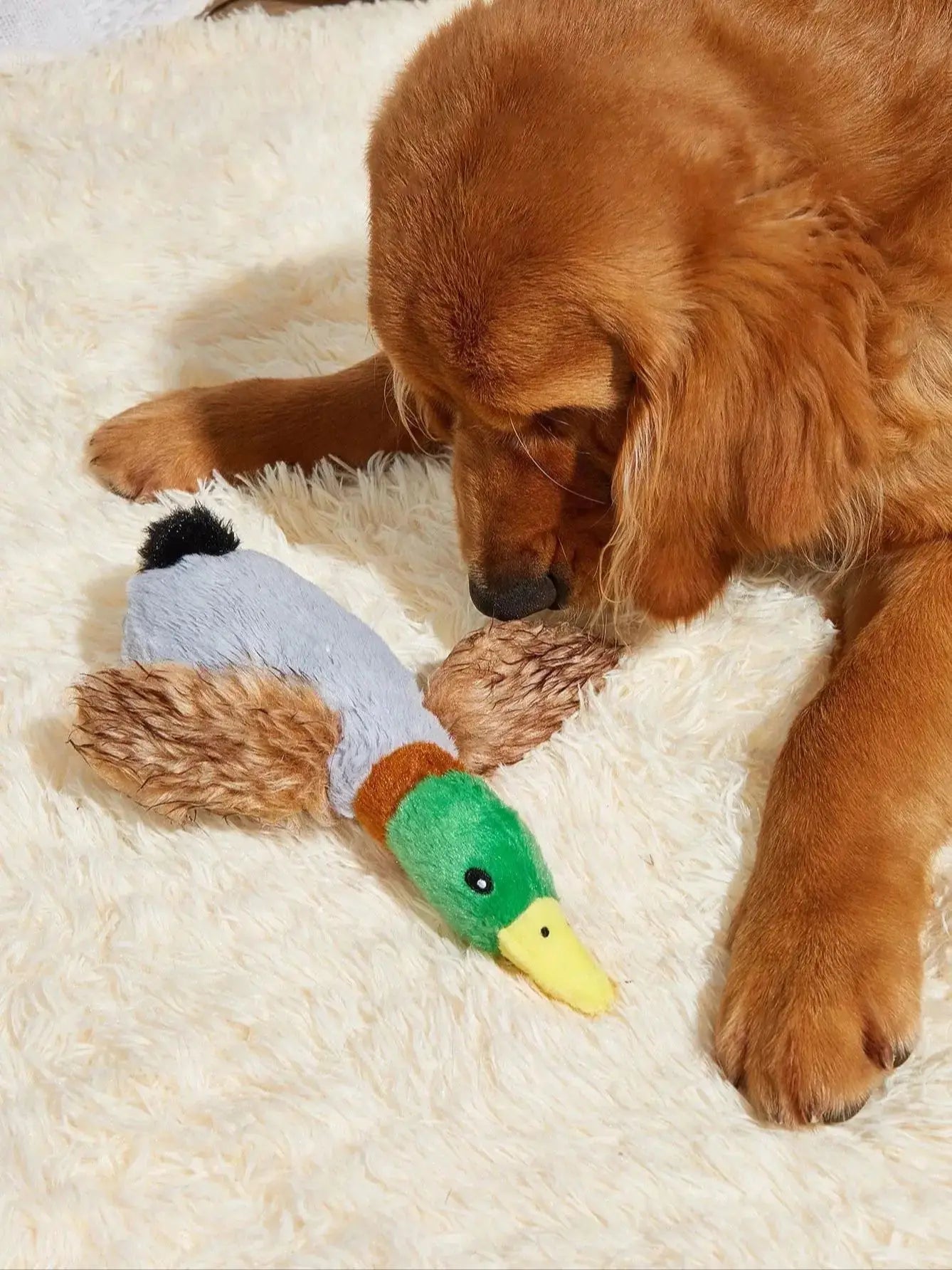 Wild Duck Style Pet Dog Toy Plush