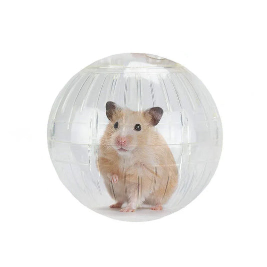 Spherical Hamster Toy