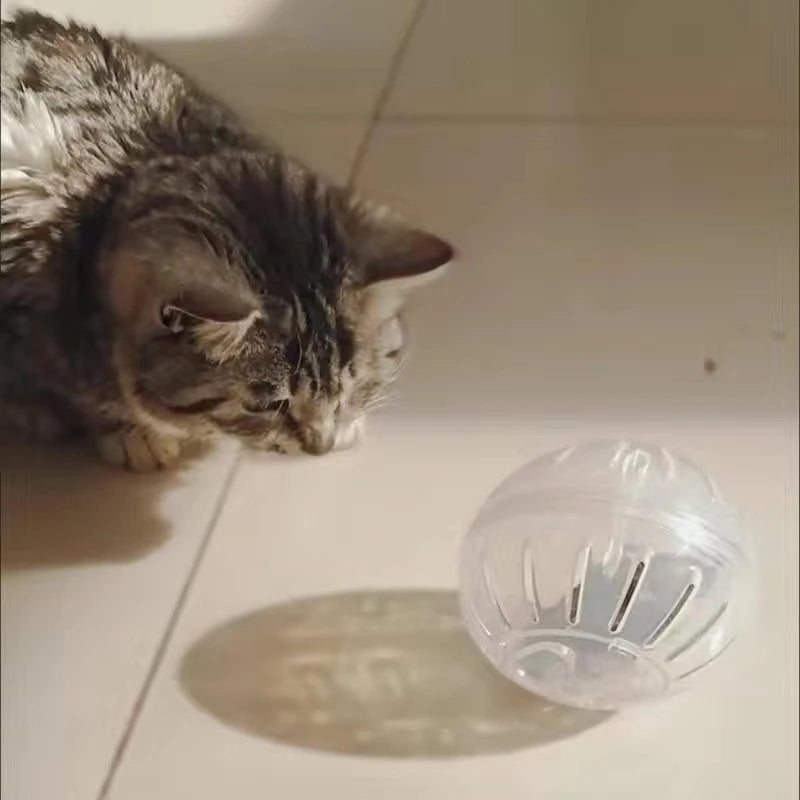 Spherical Hamster Toy
