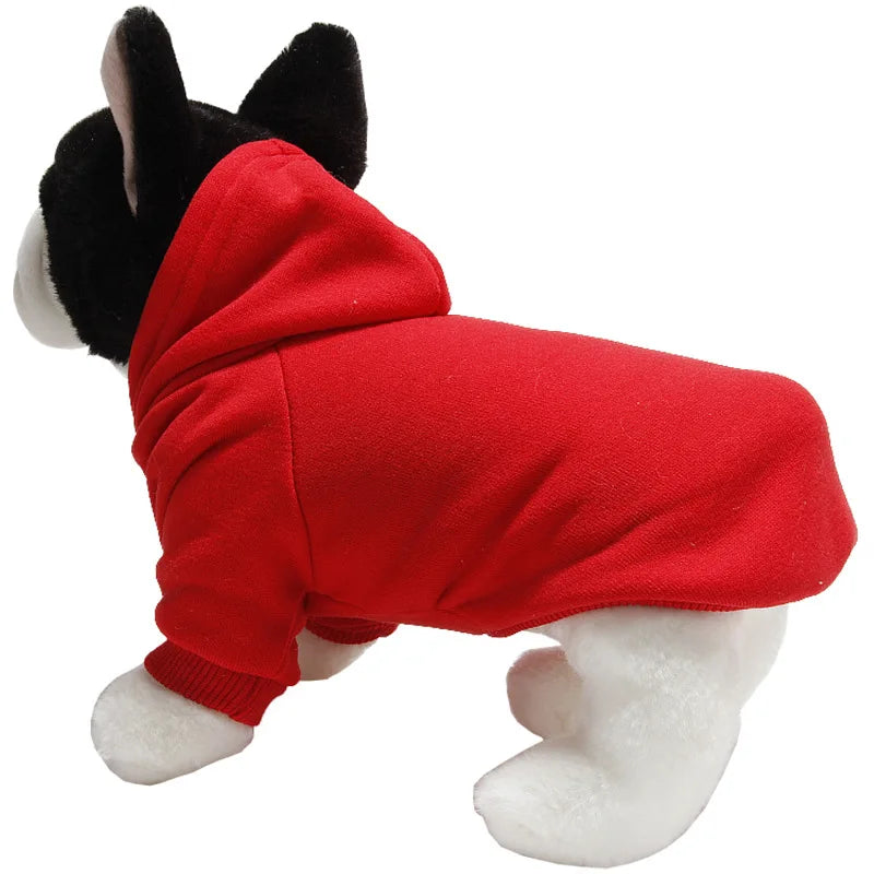 Bunny Sweater