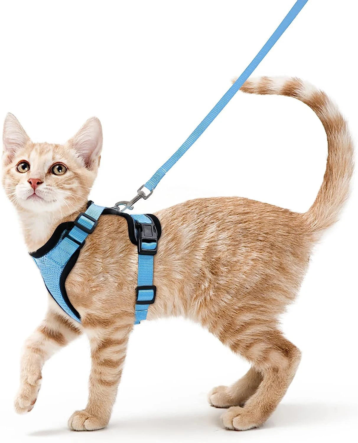 Escape Proof Cat Harness