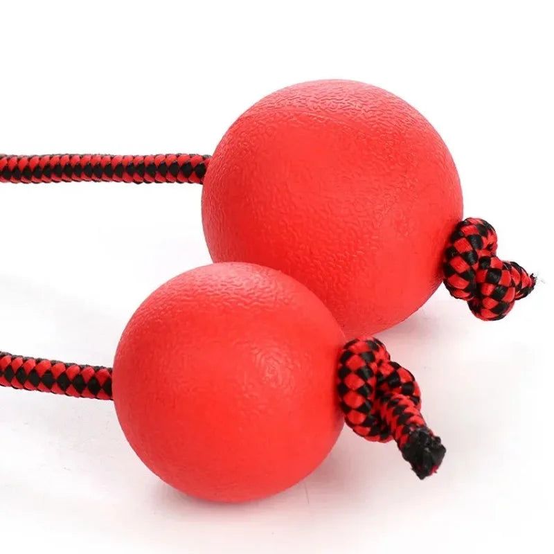 Dog Tug & Chew Toy