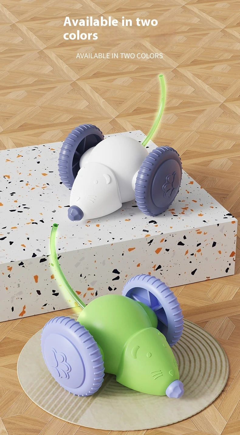 Electric Mouse Car Pet toys