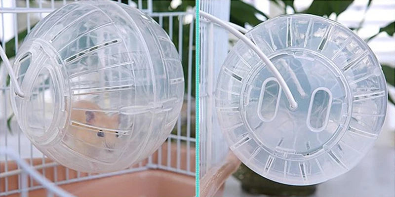 Spherical Hamster Toy