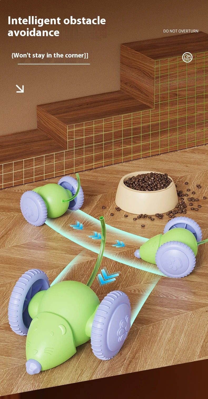 Electric Mouse Car Pet toys