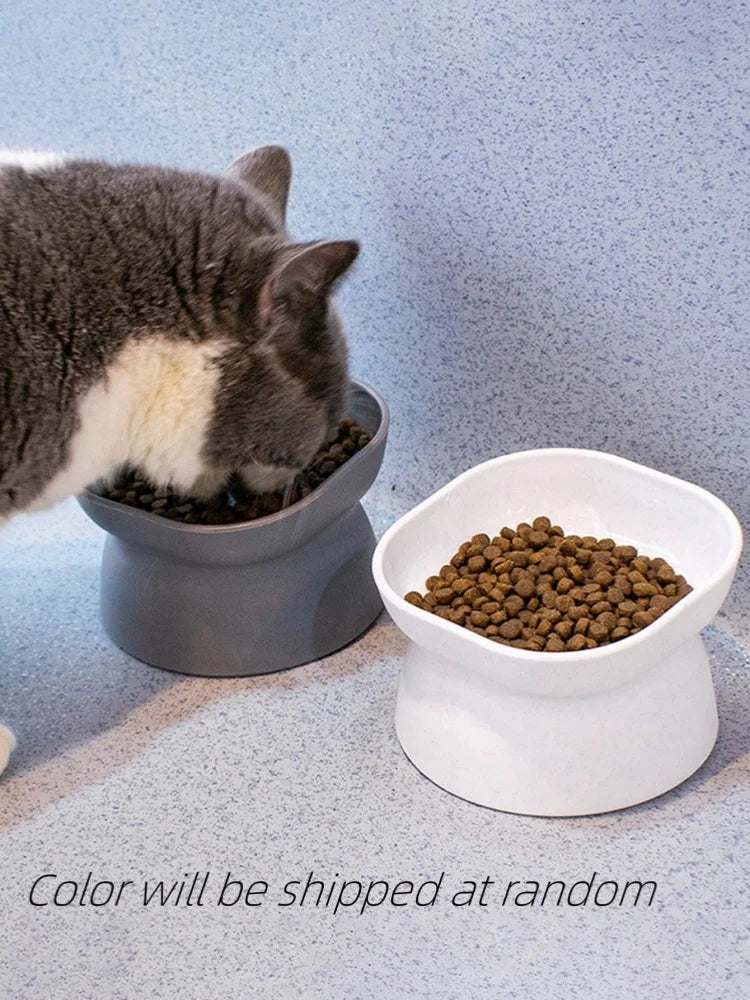 cat water and food feeder