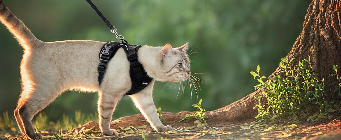 Escape Proof Cat Harness