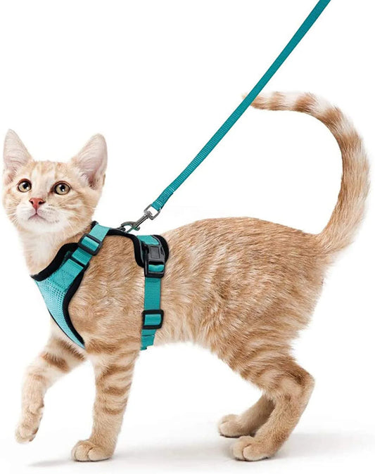 Escape Proof Cat Harness