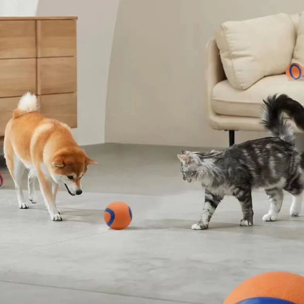 Toy Ball for Dogs