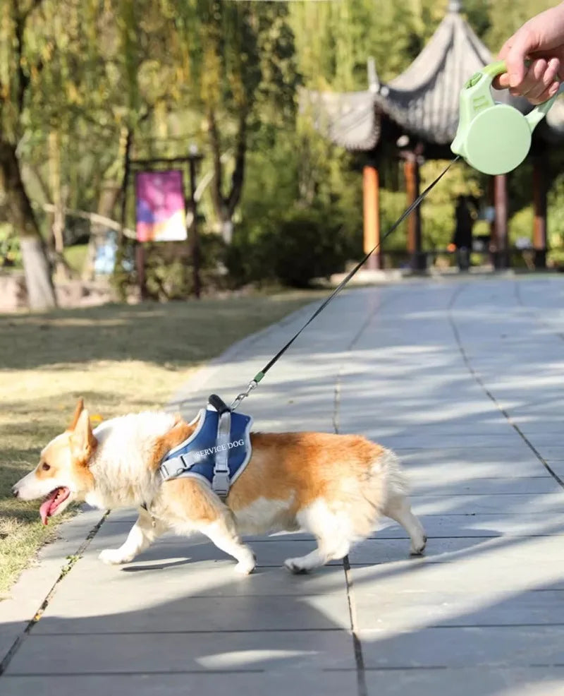 Retractable Pet Leash for Dogs