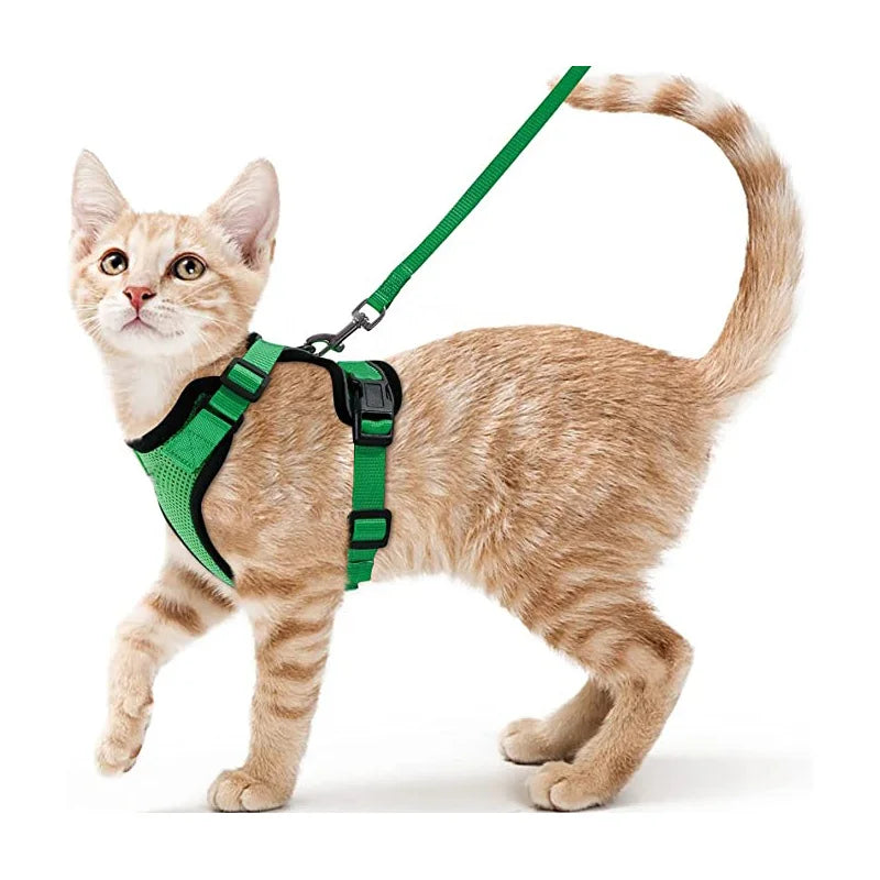Escape Proof Cat Harness