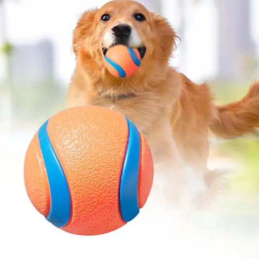 Toy Ball for Dogs