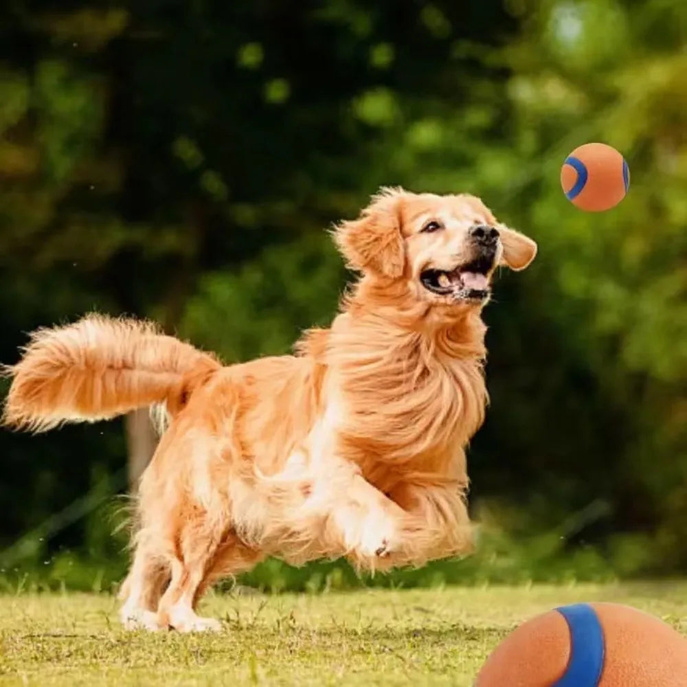 Toy Ball for Dogs