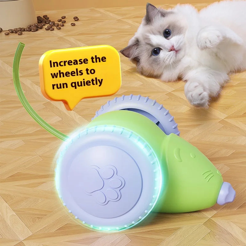 Electric Mouse Car Pet toys