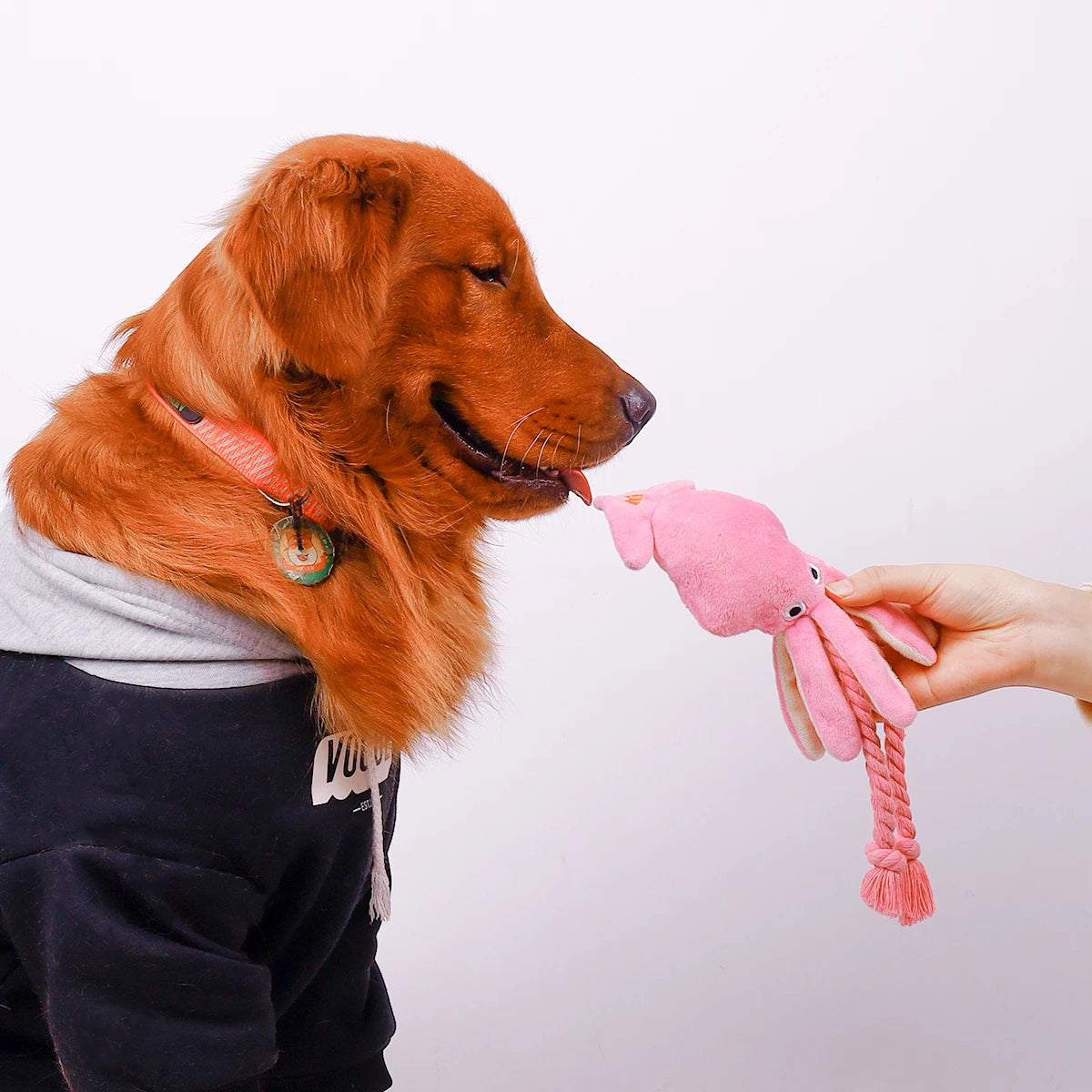 Octopus Plush Rope Toy