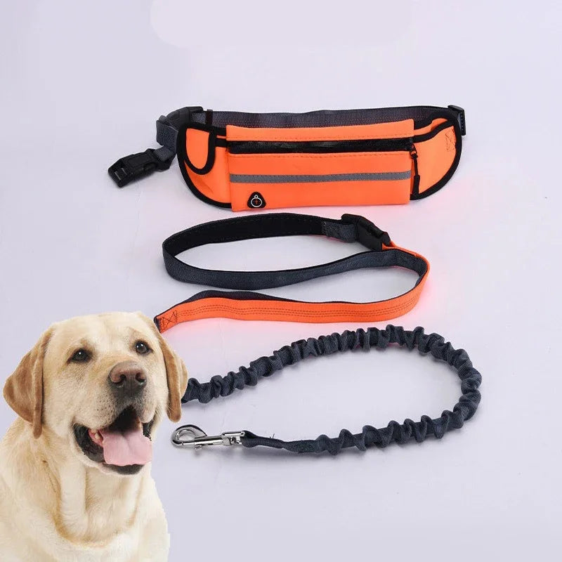 Hands Free Dog Leash for Running and Walking