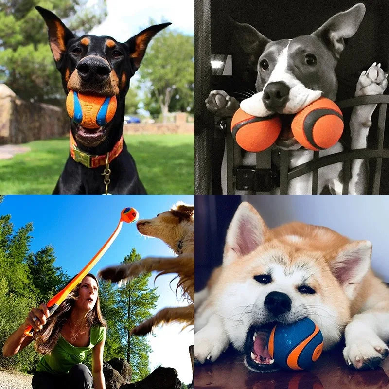 Toy Ball for Dogs