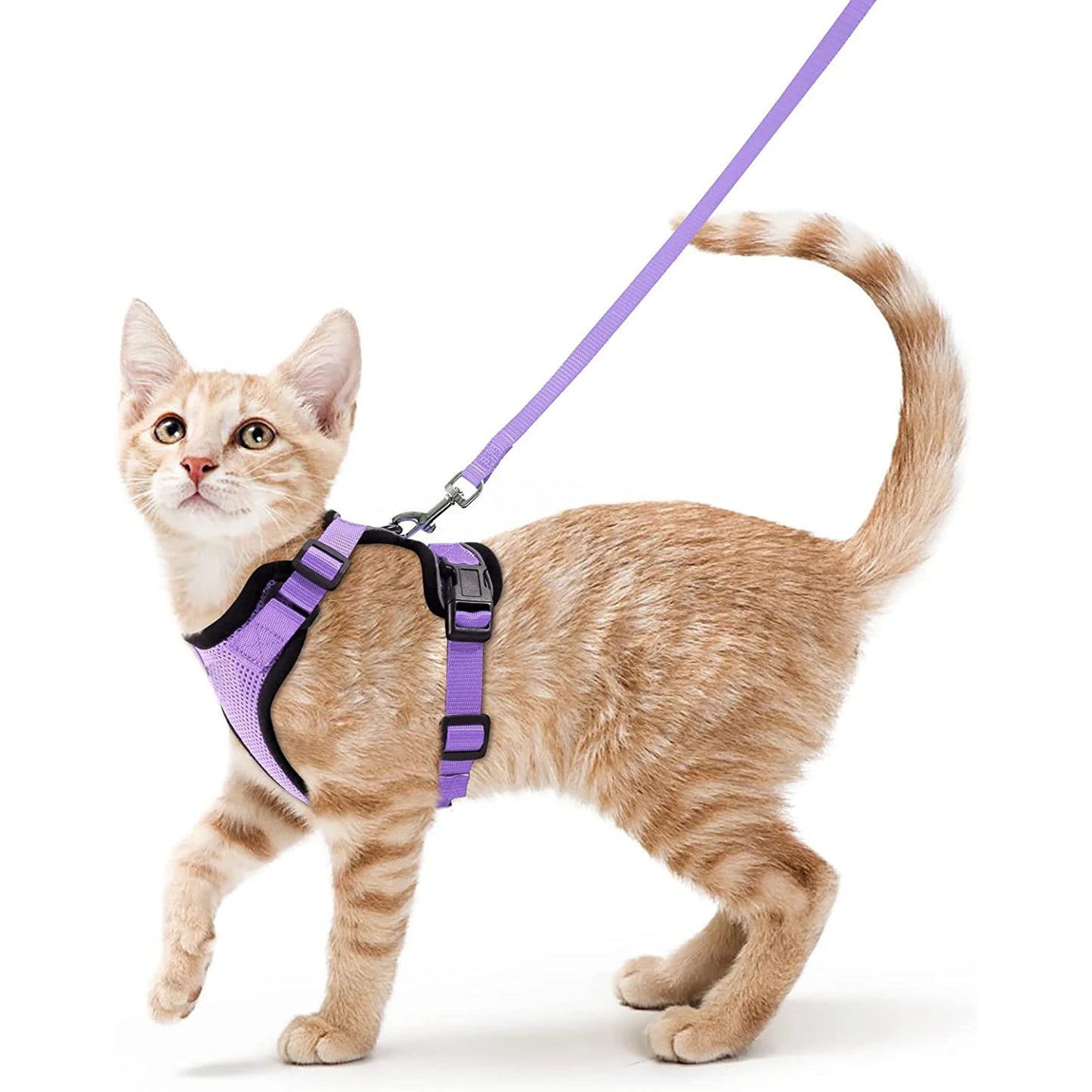 Escape Proof Cat Harness