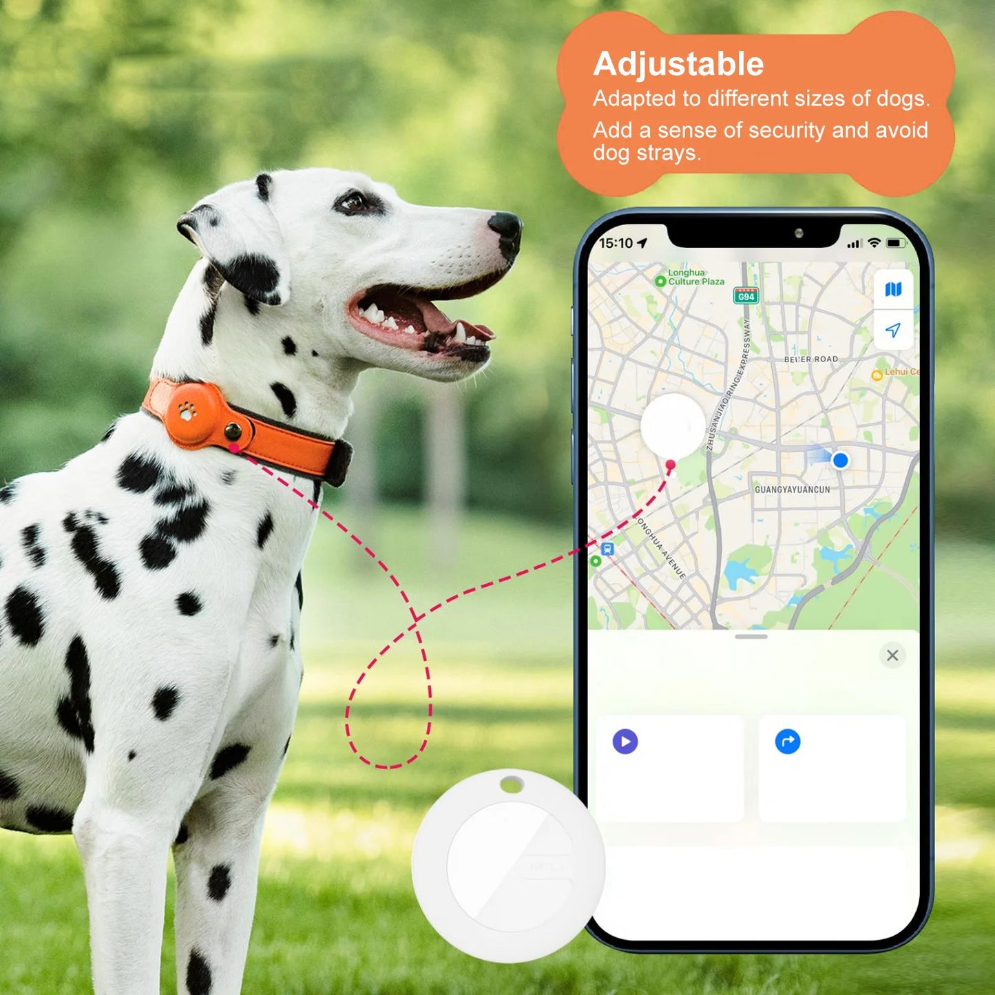 Adjustable Dog Collar