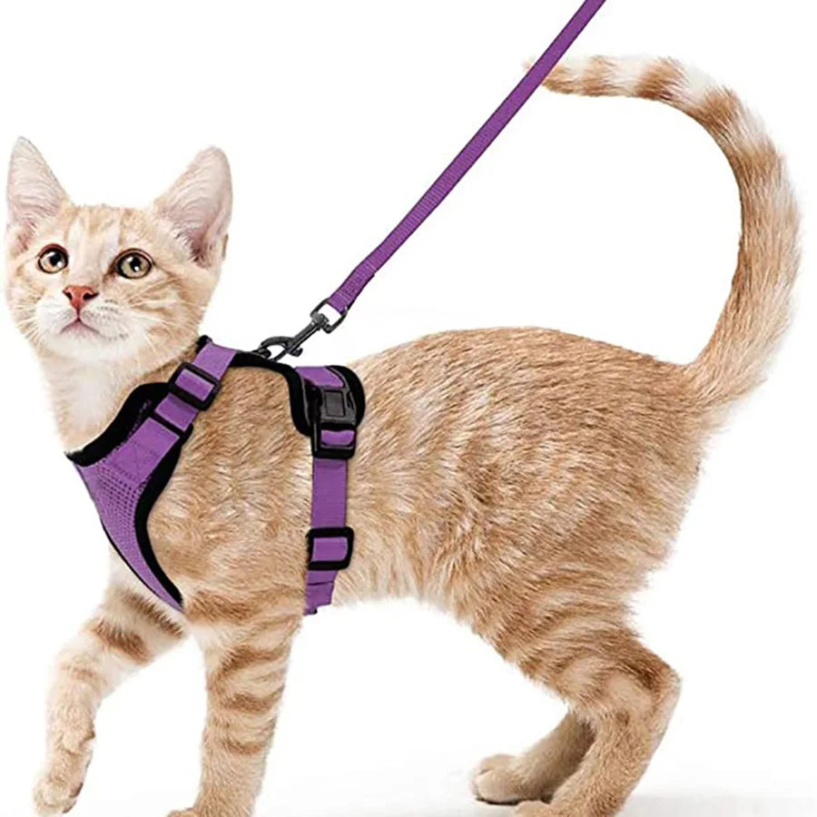 Escape Proof Cat Harness